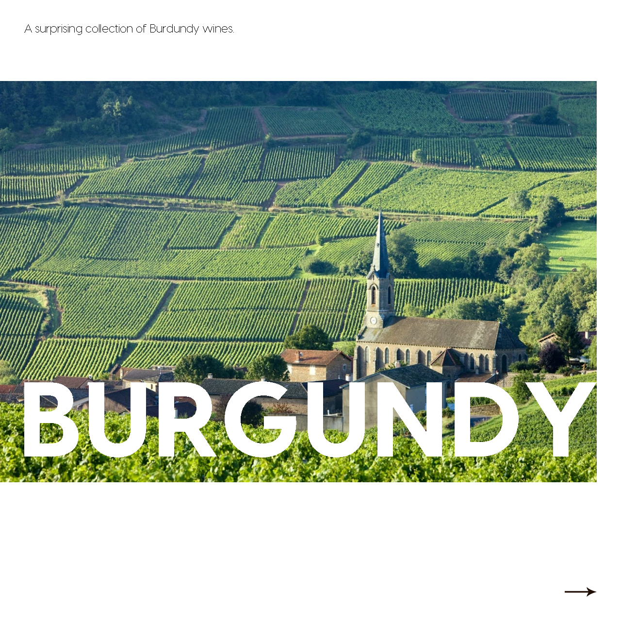Burgundy Highlights